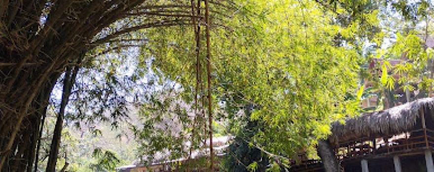 Rio Toribio