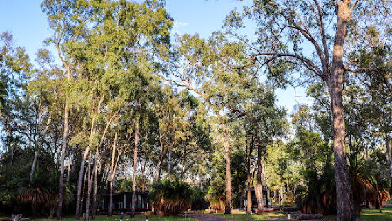 BIG4 Carnarvon Gorge Holiday Park