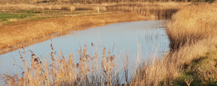 River Wantsum