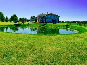 Deer Park "Saulstari"