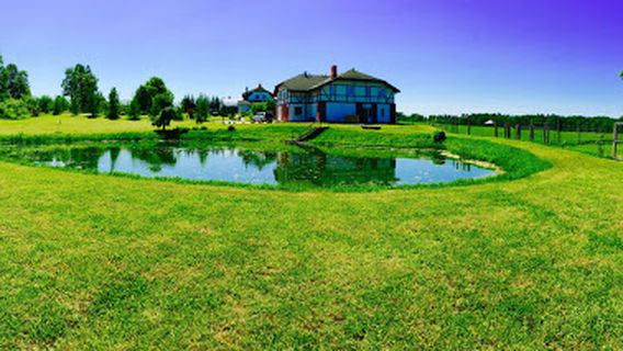 Deer Park "Saulstari"