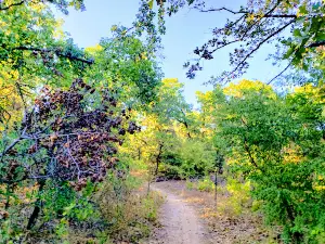 South Lakes Park
