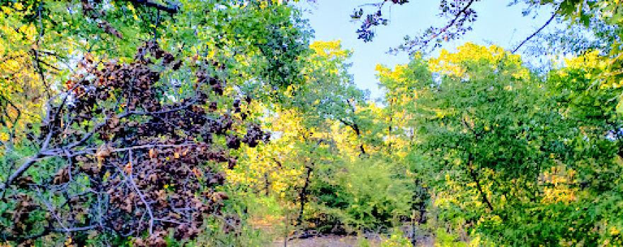 South Lakes Park