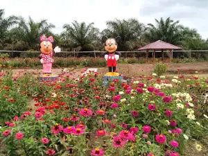 Podomoro Paradise