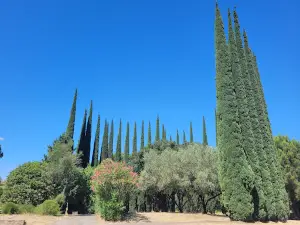 Aire du Belvédère