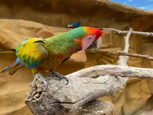 ZOO EkoPark