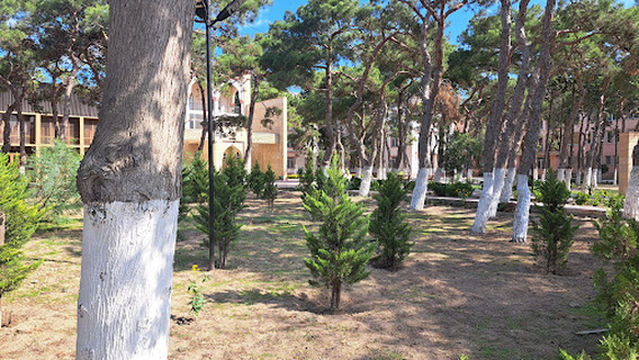 Azerbaijan National Academy of Sciences, Mardakan Dendrary