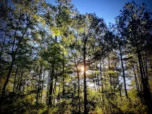 Beaver Dam Campground