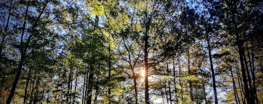 Beaver Dam Campground