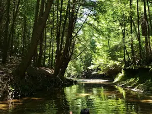 Kinlock Falls
