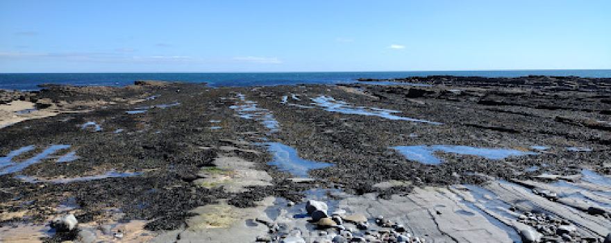 Bell's Point