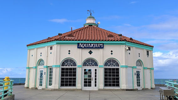 Roundhouse Aquarium