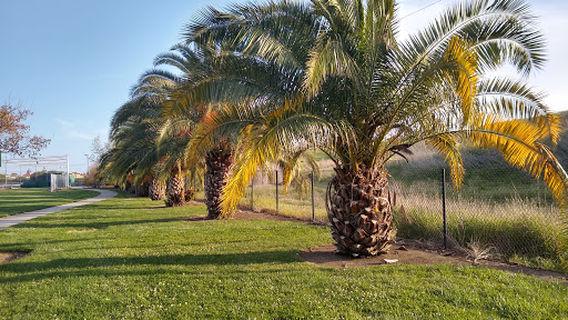 Seabreeze Park