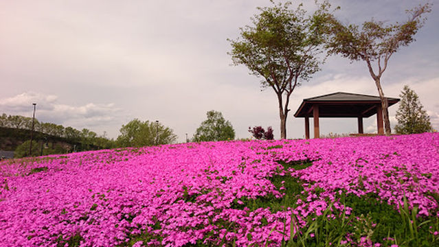 3 3 1 Tetsunishi Park