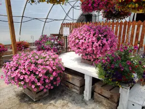 Barr Road Flower Kart