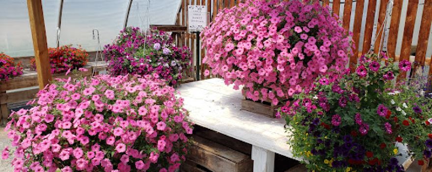 Barr Road Flower Kart