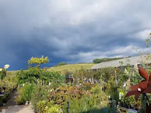 Boux'Fleurs - Jardinerie Pépiniériste