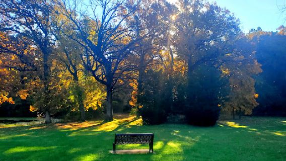 Sauerman Woods Park