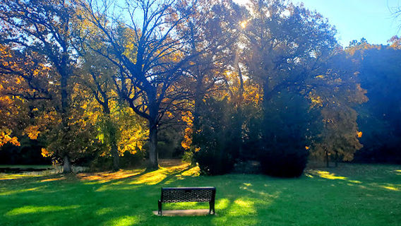 Sauerman Woods Park