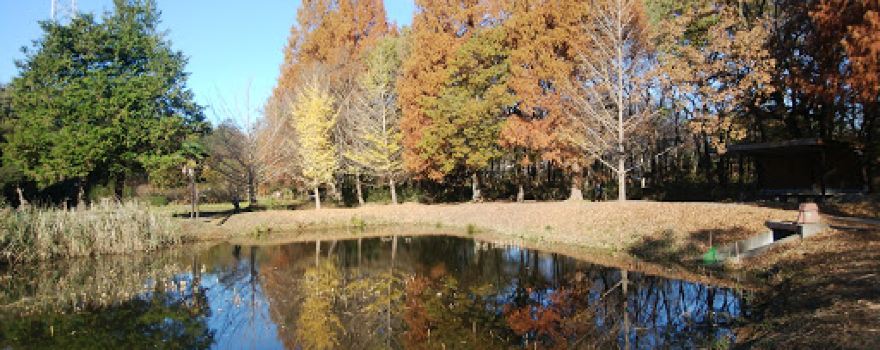 Chikozan Park Camping Ground