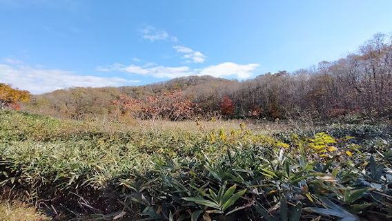 大フケ湿原(京都の自然200選)