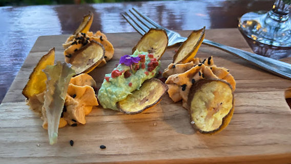 Aguila de Osa (Muelle, Sierpe)