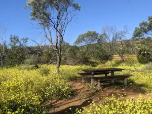 Fossil Picnic Area