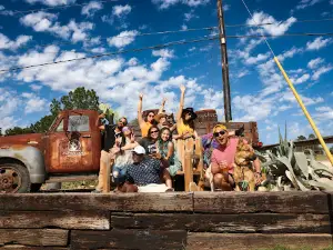 Cactus Land Brewing Company
