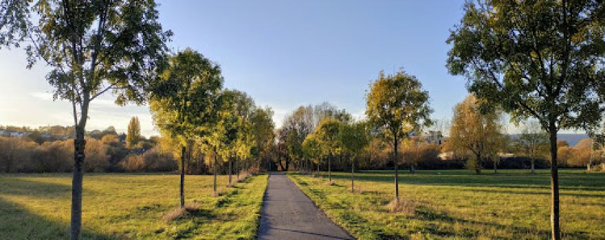 Fuldaaue Bergshausen