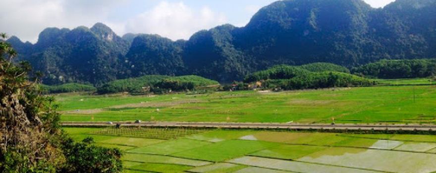 Động Ông Hoàng Bảy