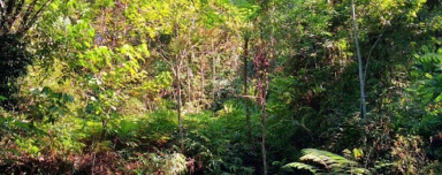 Gunung Besar Hantu