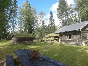 Östnårsbuan