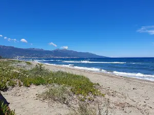 Étang de Chjurlinu-Biguglia - Stagnu di Chjurlinu-Biguglia