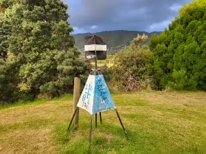 Waikanae Park