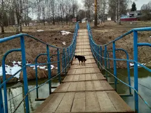 Park Dubki
