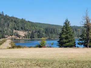 Dexter Park Disc Golf Course