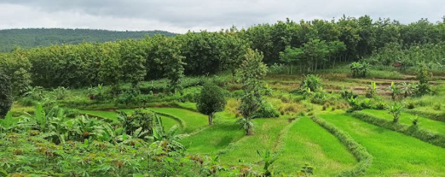 Air Terjun Kedung Grenjeng