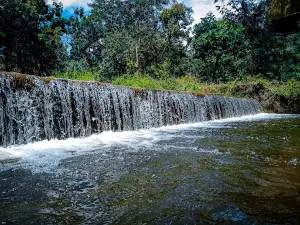 Botha Forest DnyangangaSanctuary