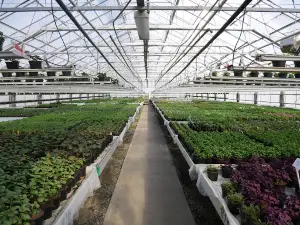 Tuna Garden