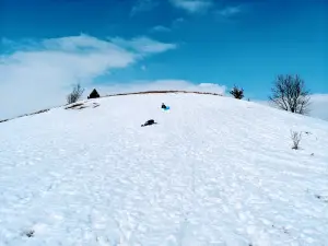 Darwin Winter Recreation Park