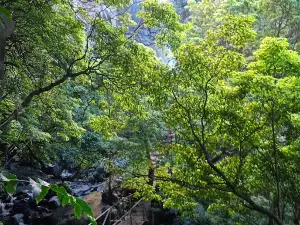 Miradouro do Salto da Farinha