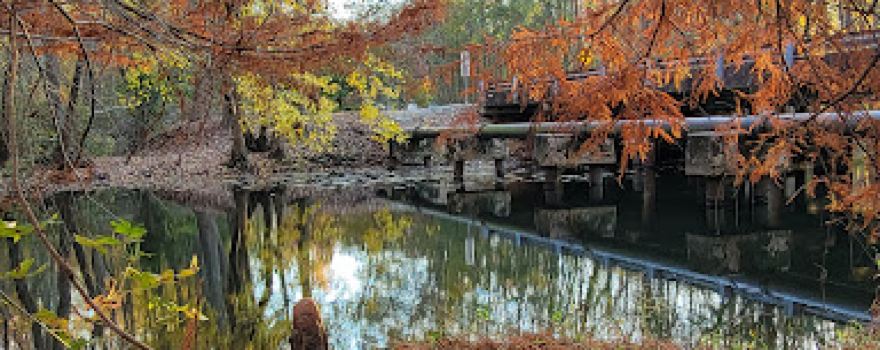 Jeffries Creek Park