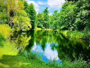 Wolf River Trips & Campground