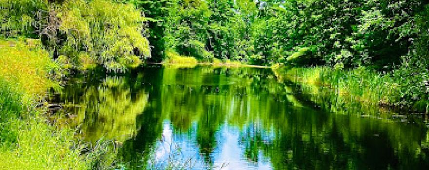 Wolf River Trips & Campground