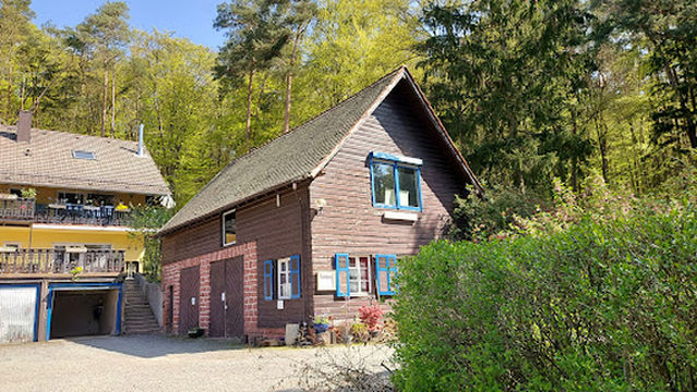 Shaolin Temple Europe