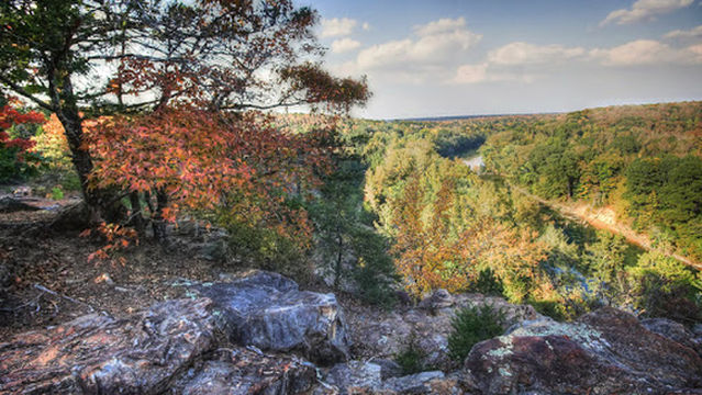 Camp Wyldewood Summer Camp