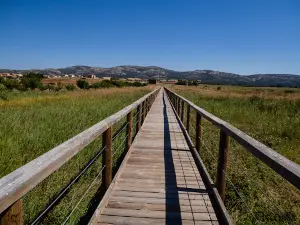 Lagunas Gallocanta