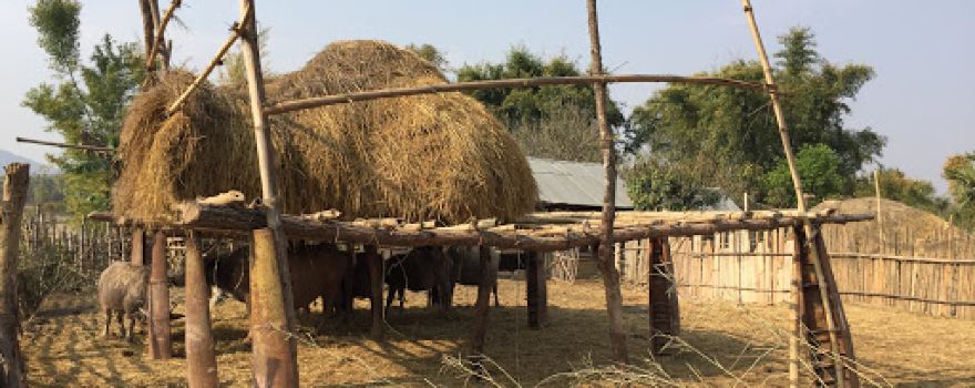 Ban Naphia Tourist Attraction