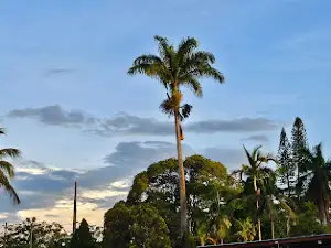 Ipe Tênis Clube