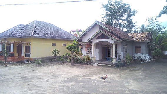 Gelumbang